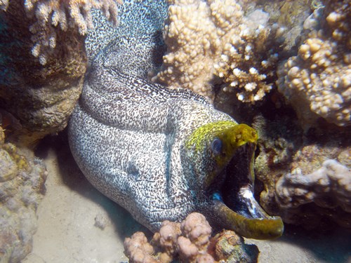 Photo of the Week