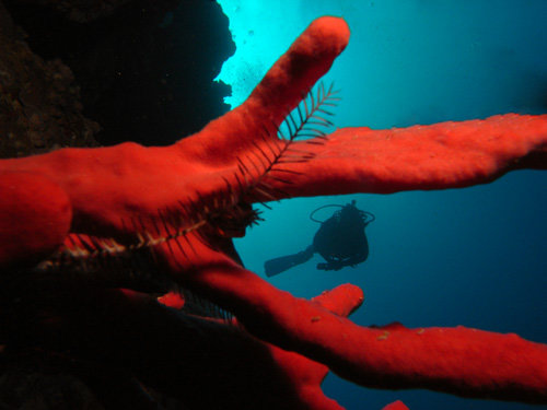 Photo of the Week