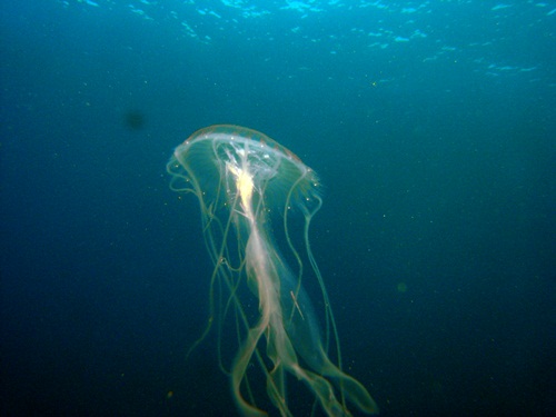 Photo of the Week