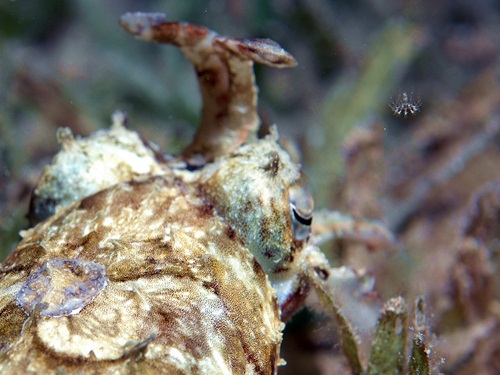 Photo of the Week