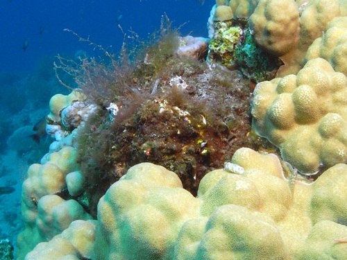 Photo of the Week