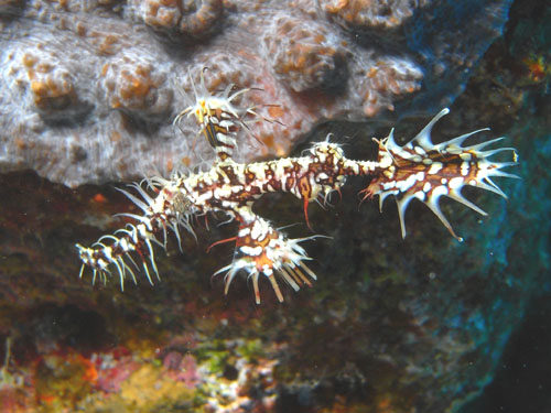 Photo of the Week