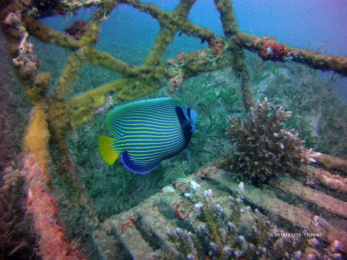 Photo of the Week