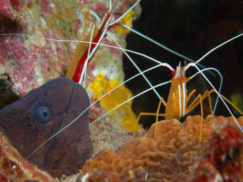 Photo of the Week