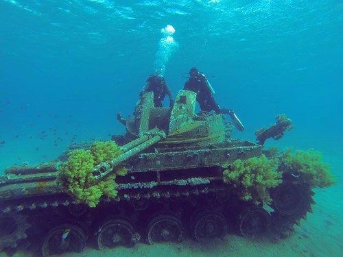 Photo of the Week