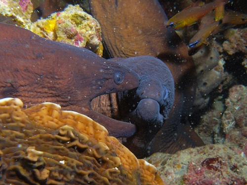 Photo of the Week