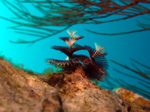 Photo of the Week