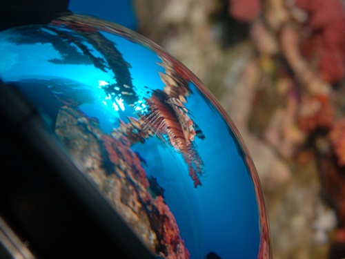 Photo of the Week