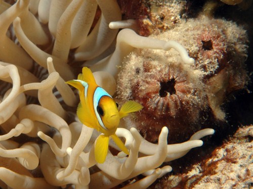 Photo of the Week