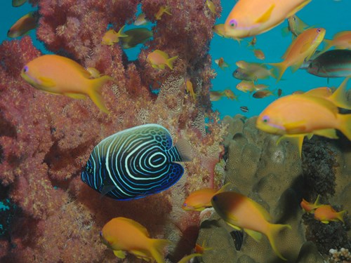 Photo of the Week