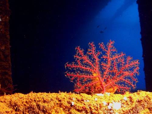 Photo of the Week