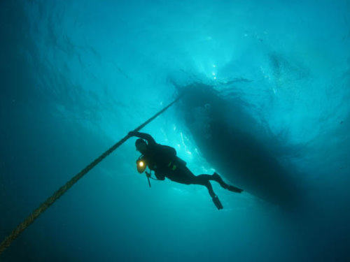 Photo of the Week