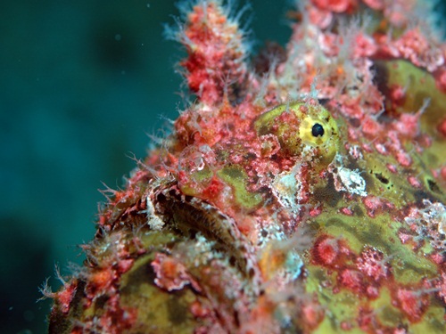 Photo of the Week