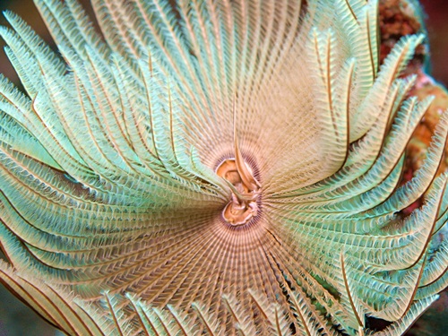 Photo of the Week