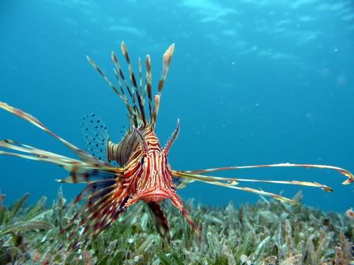 Photo of the Week