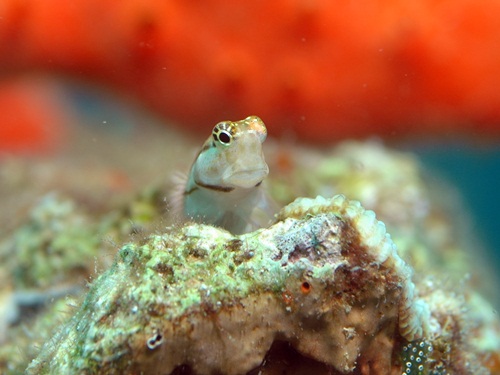 Photo of the Week