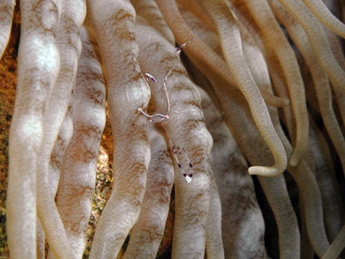 Photo of the Week