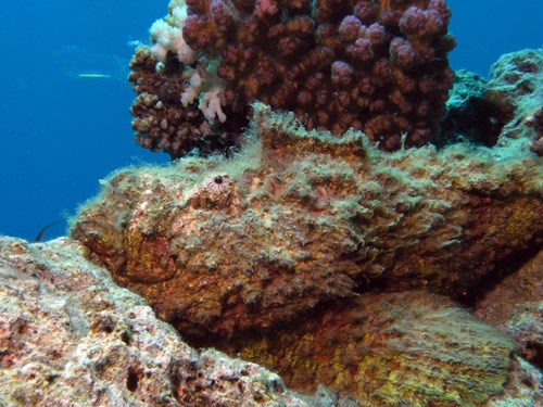 Photo of the Week