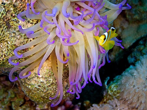 Photo of the Week
