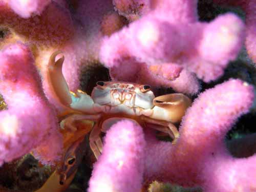 Photo of the Week