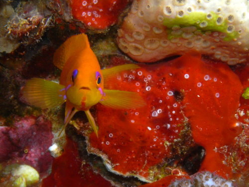 Photo of the Week