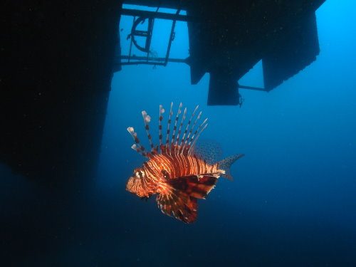 Photo of the Week