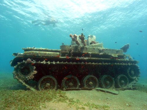 Photo of the Week