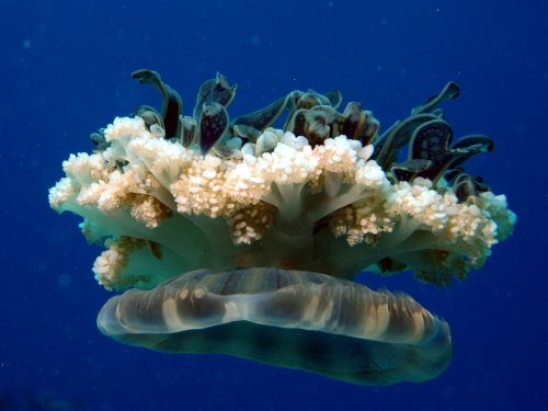 Photo of the Week