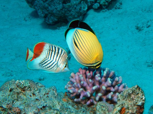 Photo of the Week