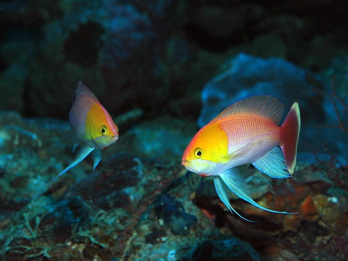 Photo of the Week