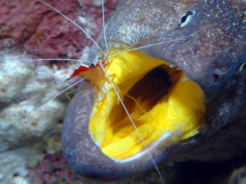 Photo of the Week