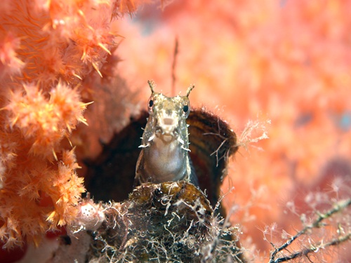 Photo of the Week