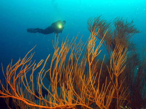 Photo of the Week