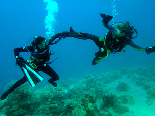 Best Diver shot of 2010