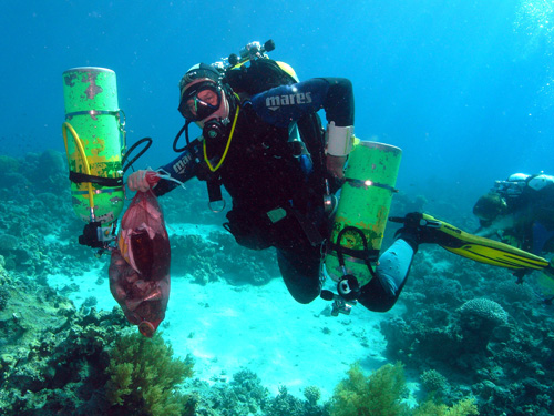 Best technical diver photo 2010 Aqaba, Jordan