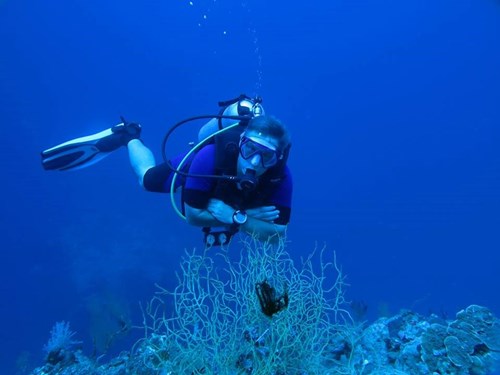 Best Diver shot of 2013