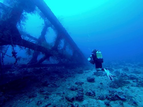 Best Tec Diver photo 2013
