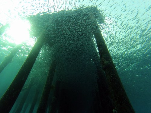Best Wide Angle photo 2013