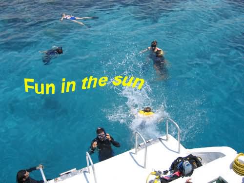 Snorkeling in Aqaba Snorkel party