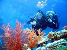 On wreck