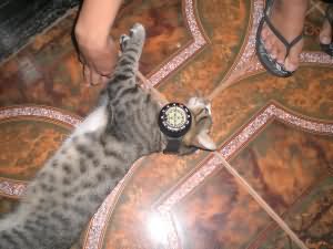 Navigation training