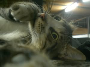 Earl being cute