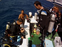 Boat diving
