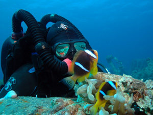 Huw diving