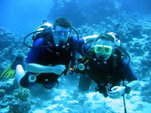 Jack with diver