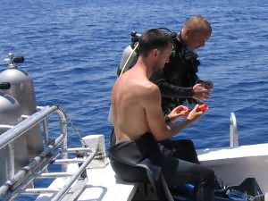 Narcosis puzzle??