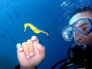 Motaz with seahorse
