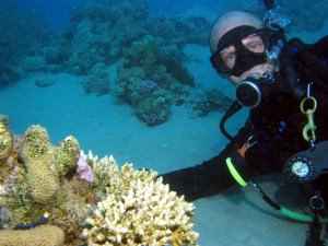 Marine life expert