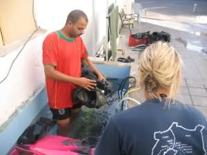 Shaban in rinsing tank