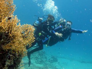 Try dive king